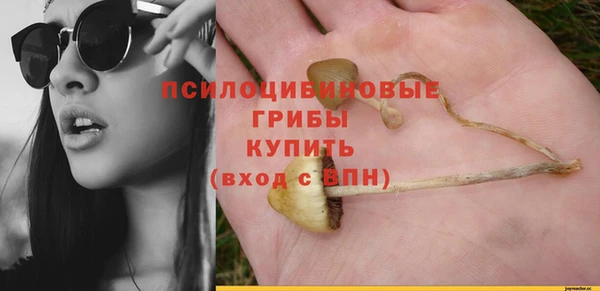 ECSTASY Абдулино