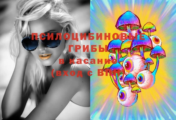 не бодяженный Абаза