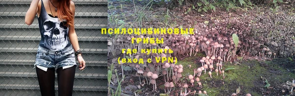 не бодяженный Абаза