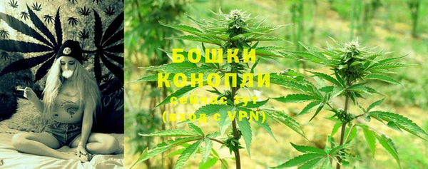 твердый Протвино