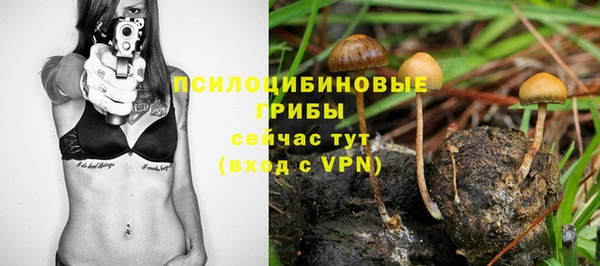 ECSTASY Абдулино