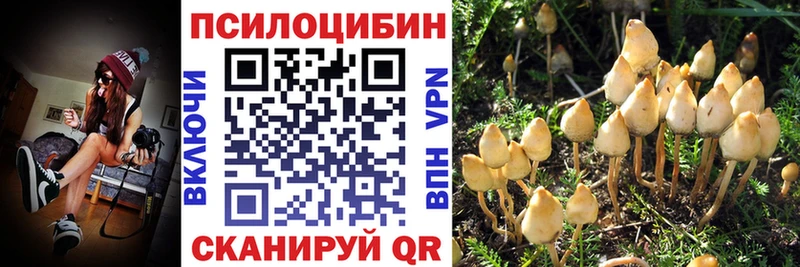 Галлюциногенные грибы MAGIC MUSHROOMS  Духовщина 